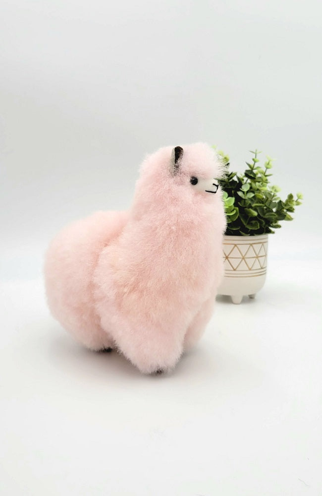 Alpaca Stuffed Animal Luna the Alpaca - Main Image