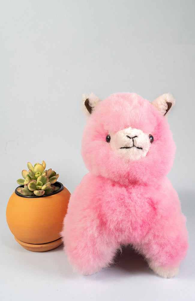alpaca fur alpaca stuffed animal – WUAMAN