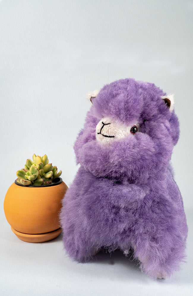 Alpaca Stuffed Animal Little Fluffy - Main Image