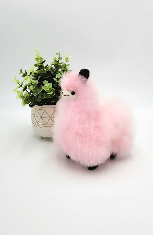 Alpaca Stuffie | Ally the Mini Alpaca 6"