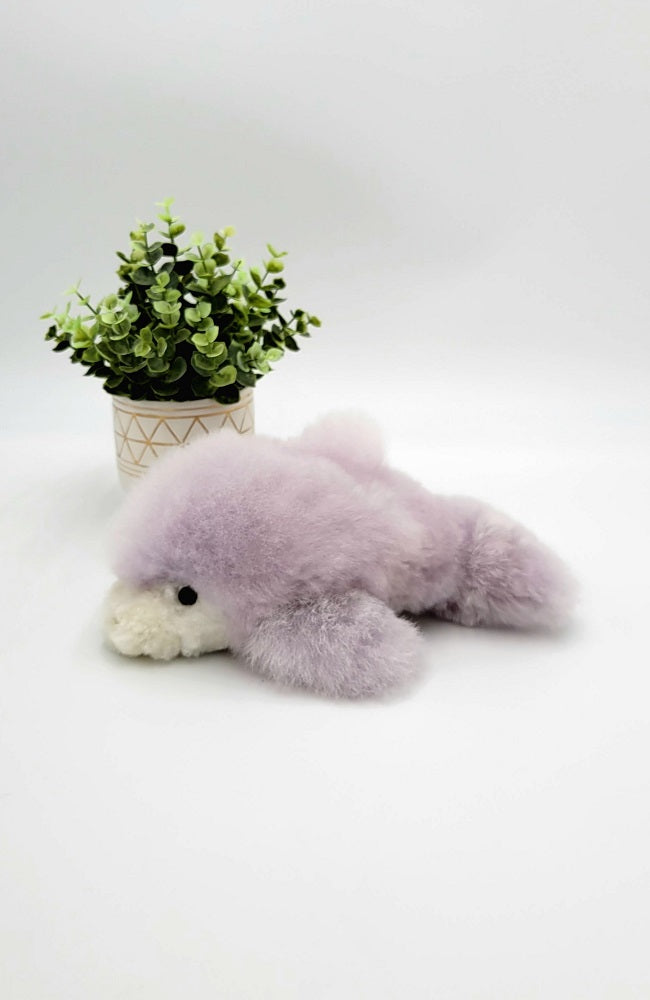 Alpaca Stuffie | Baby Dolphin 9"