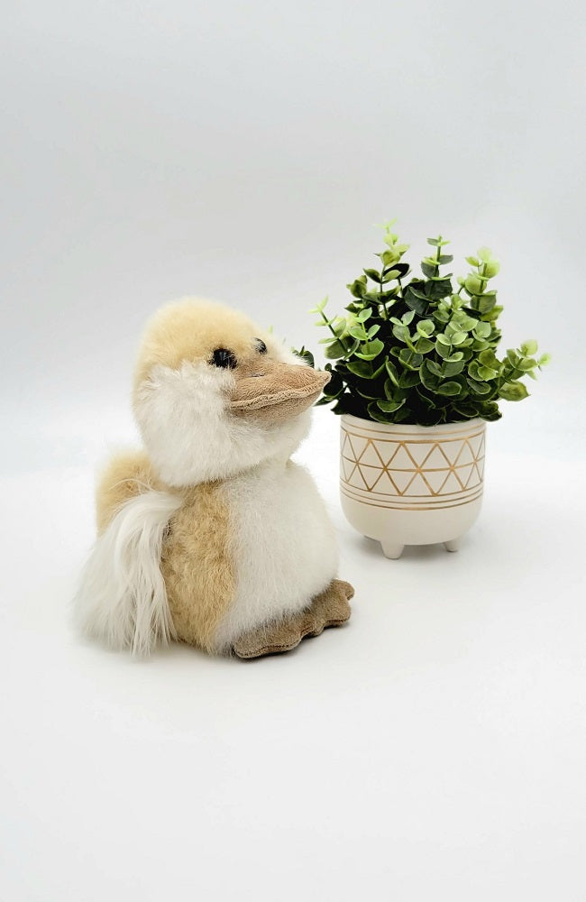 Alpaca Stuffie | Baby Duck 8"