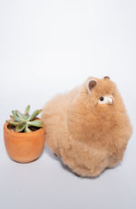 Alpaca Stuffie | Ally the Mini Alpaca 6"