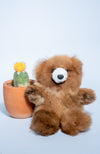 Alpaca Stuffie | Benny the Bear 10"