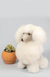 Alpaca Stuffie | Baby Poodle 12"