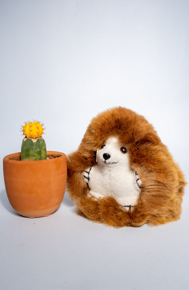 Alpaca Stuffie | Baby Hedgehog 8"