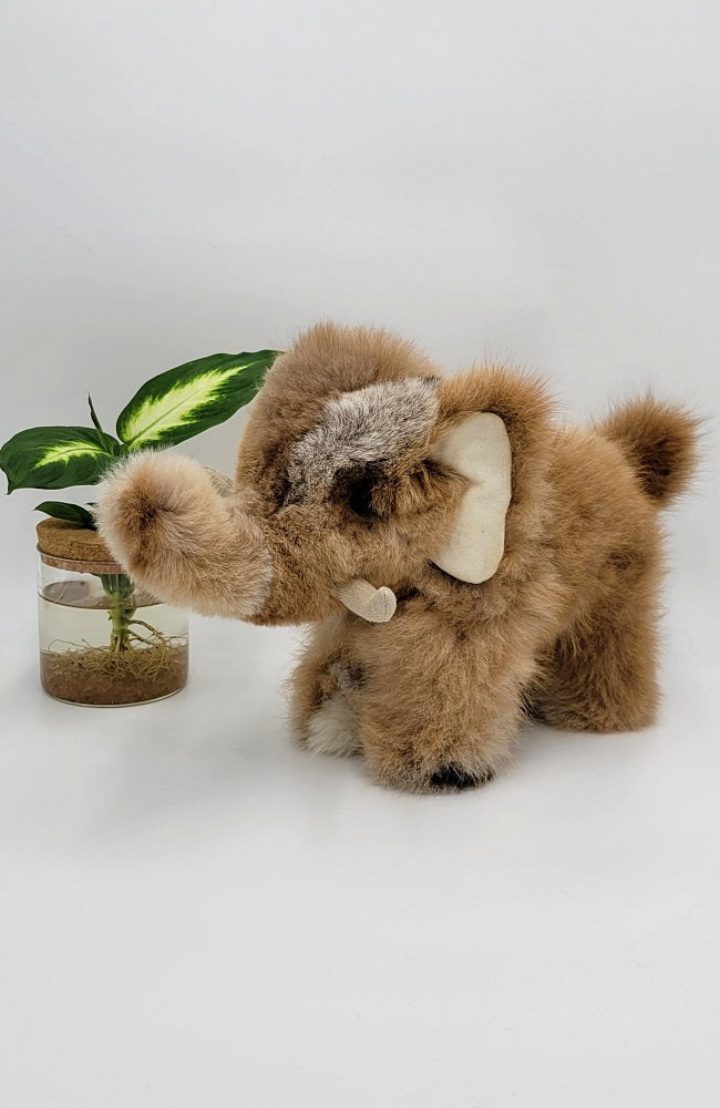 Alpaca Stuffie | Elephant 15"